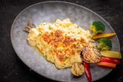 SUBREAM THERMIDOR 1KG